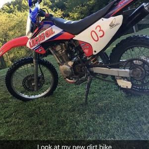 Meet your Posher, Teddie